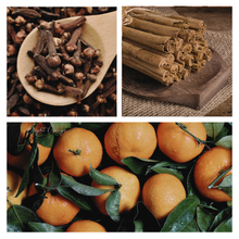 Load image into Gallery viewer, Be Merry &amp; Bright Simmer Pot Mix
