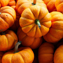 Load image into Gallery viewer, Pumpkin Spice Push Wall Diffuser Refill
