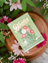 Load image into Gallery viewer, Painted Daisies (New Beginnings) | Floriography Seed Packet
