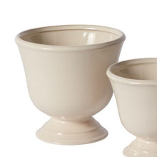 Load image into Gallery viewer, Cara Compote
