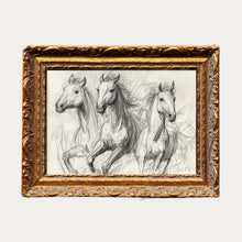 Load image into Gallery viewer, Horse Sketch | French Brass Inspired Gold Mould Framed Art 5 X 7

