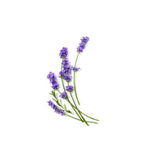 Load image into Gallery viewer, Lavender x Eucalyptus Pocket Hand Sanitizer
