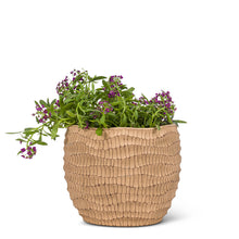 Load image into Gallery viewer, Ridged Round Planter
