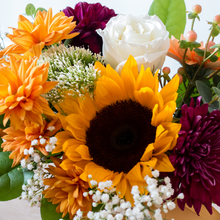 Load image into Gallery viewer, Sunflower Plum
