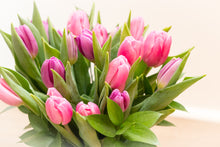 Load image into Gallery viewer, Totally Tulips
