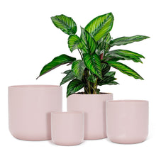 Load image into Gallery viewer, Classic Planter Pink - Two Sizes
