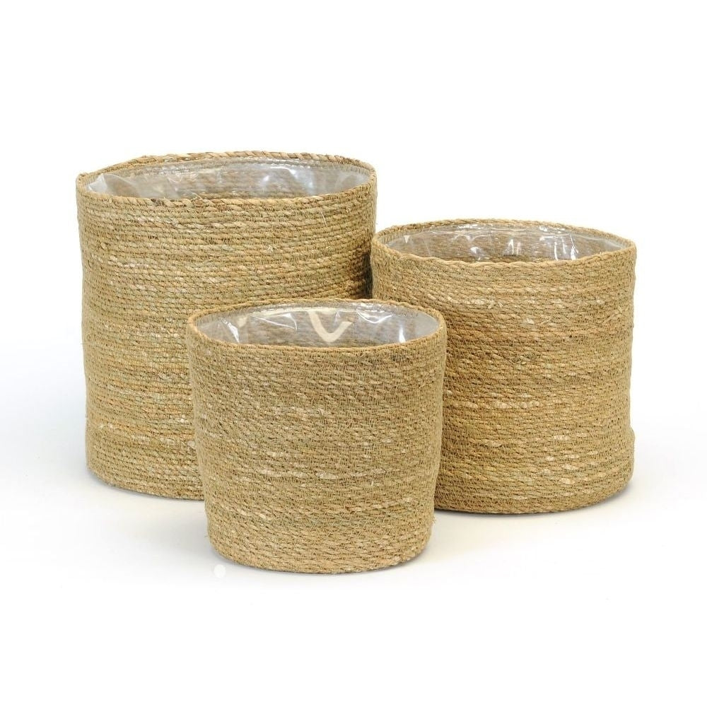 Seagrass Plant Baskets